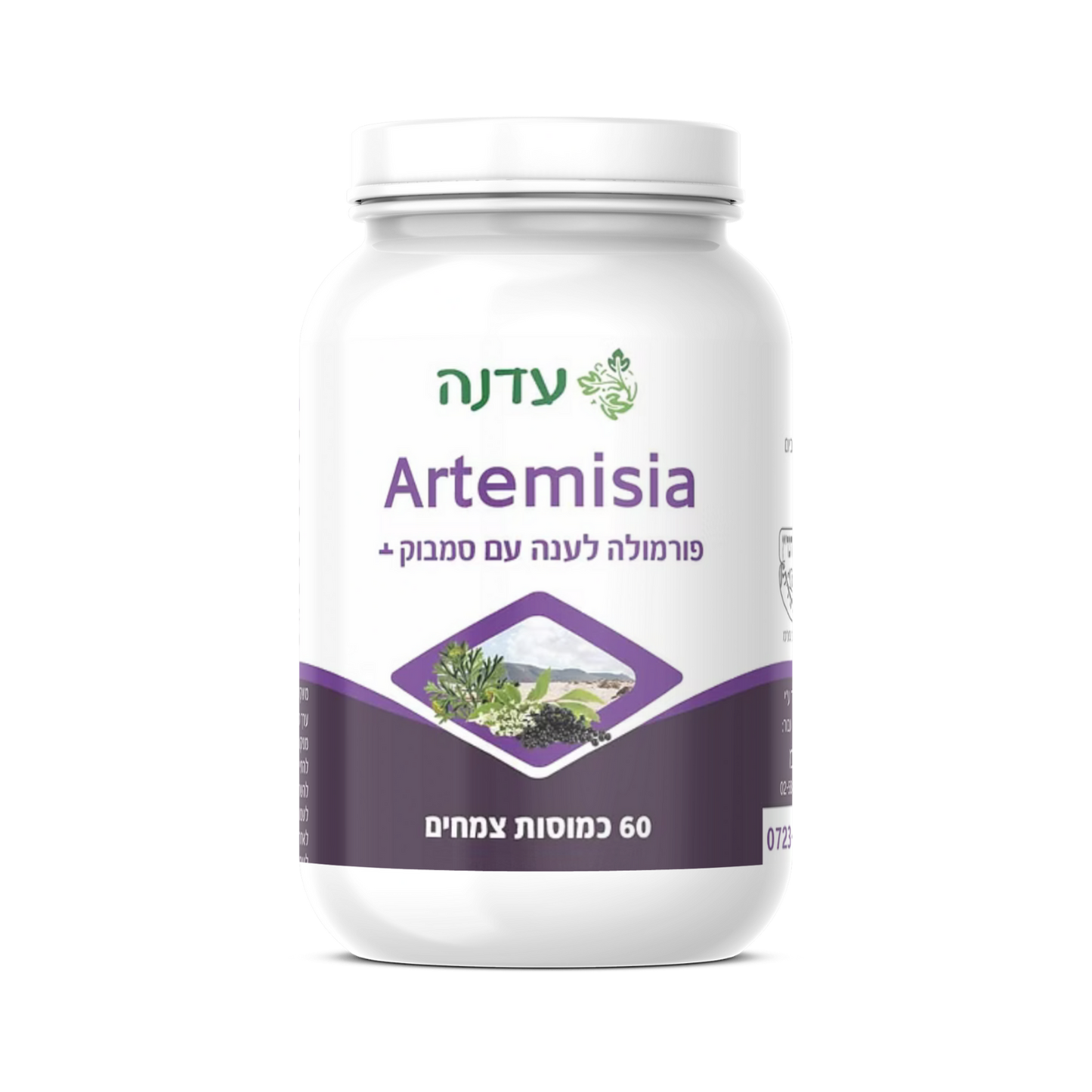 Artemisia Plus - Edna