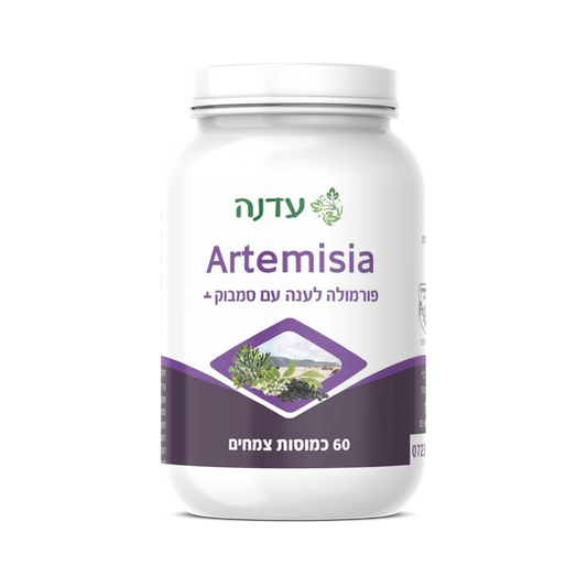 Artemisia Plus - Edna
